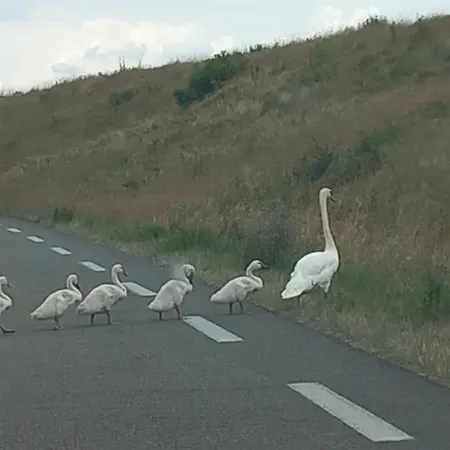 Millesime Apartmán Perville