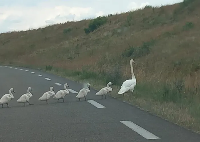 Millesime Lägenhet Perville