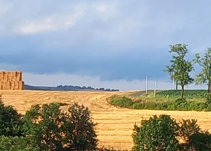 Lägenhet Millesime *