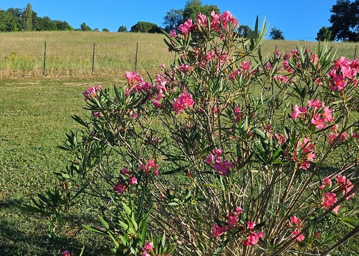 Millesime Lägenhet *