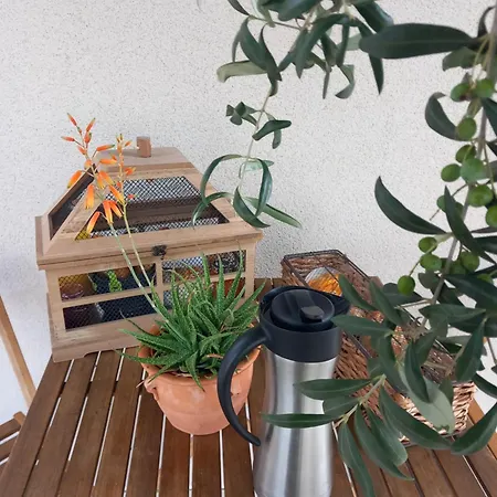 Millesime Apartament