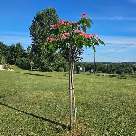 公寓 Millesime Perville