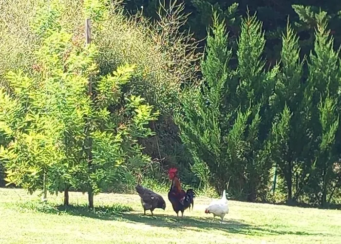 شقة Millesime Perville